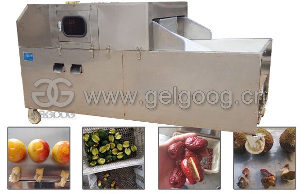 Dates Seed Removing Machine