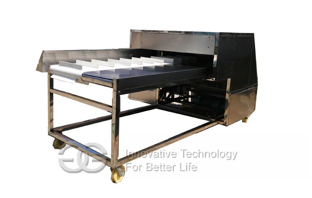 Needle Mushroom Root Cutting Machine With Price