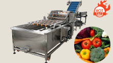 Automatic Clean Vegetable Washi