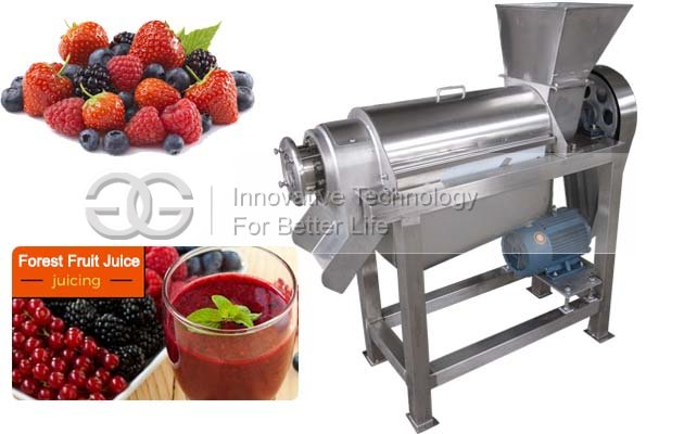 Crush Type Fruit Juice Extraction Machine