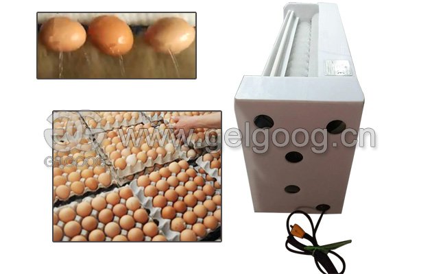 Eggs Washing Machine
