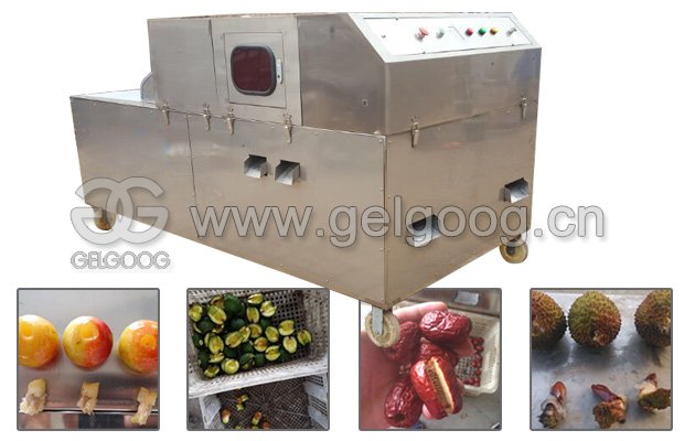 Red Dates Seed Removing Machine Date Pitter for Sale