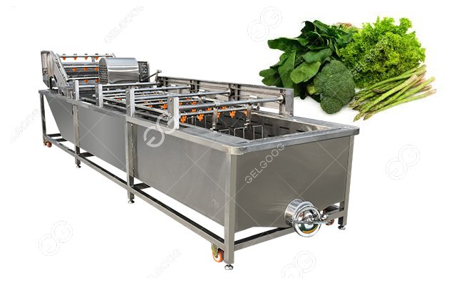 Industrial Leafy Vegetable Bubble Washing Cleaning Machine