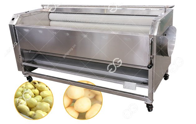 Stainless Steel Radish Carrot Washing Peeling Machine Equipment