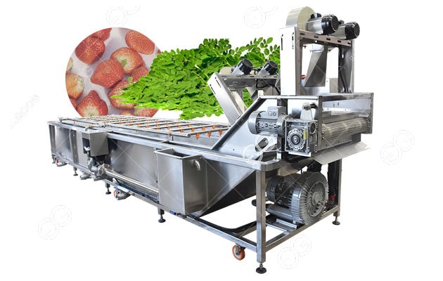 Automatic Moringa Leaf Strawberry Washing Machine 4m