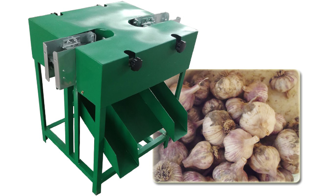 Fresh Wet Garlic Root and Stem Flat Cutting Machine