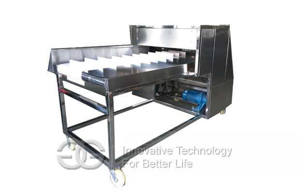 Vegetable Root Cutting Machine