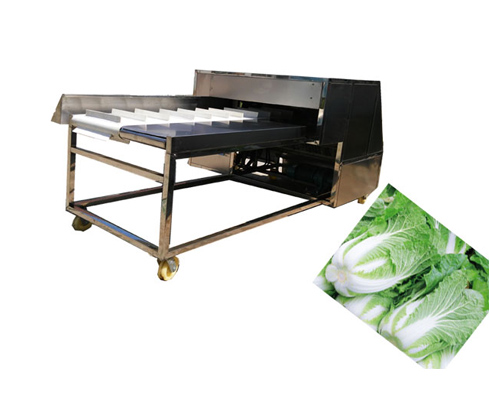 Vegetable Root Cutting Machine