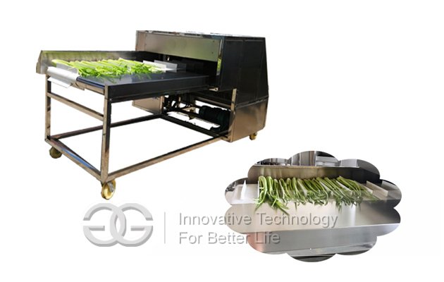 Vegetable Root Cutting Machine