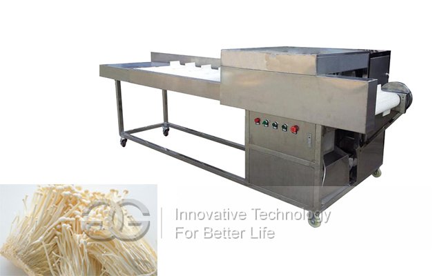 Needle Mushroom Root Cutting Machine