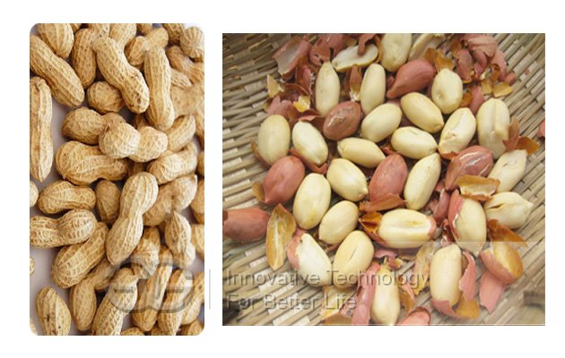 Small Capacity Hot Sale Peanut Roaster Machine