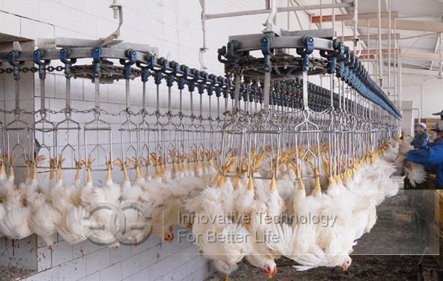 High Efficiency Electric Hemp Machine for Poultry