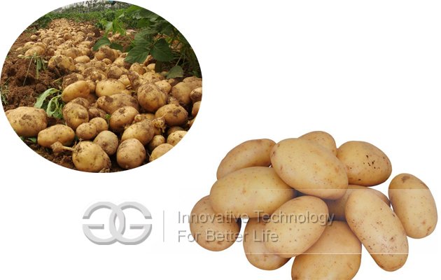 Big Capacity Potato Washing and Cutting Machine Commercial