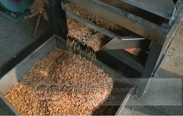 Automatic Peanut Cutter Machine