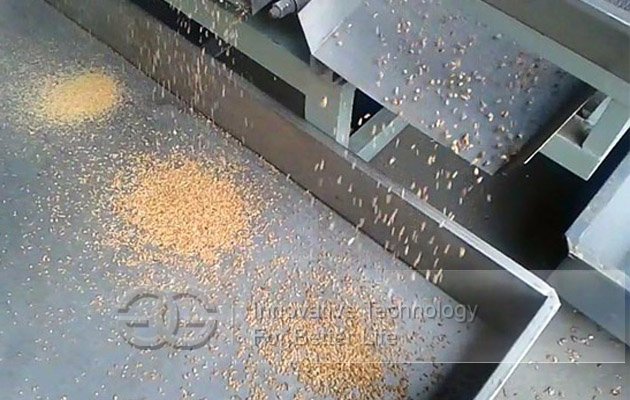 Peanut Chopper Machine