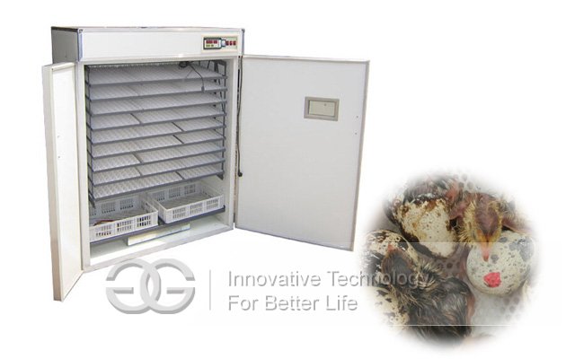 Quail Eggs Incubator Equipement