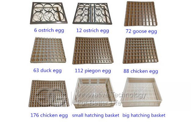 Quail Eggs Incubator Equipement