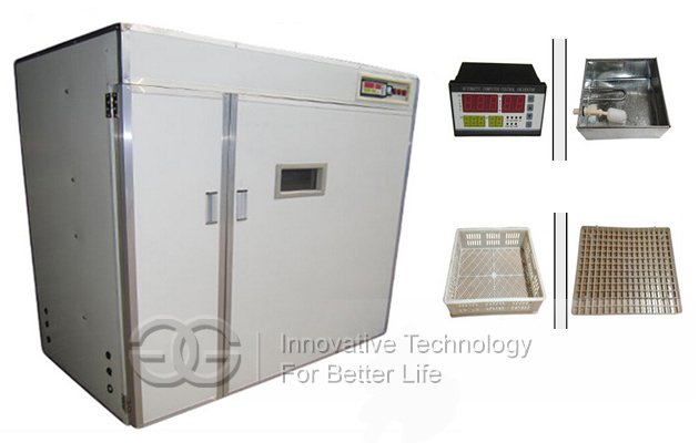 Quail Eggs Incubator Equipement