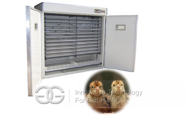 Automatic Egg Incubator