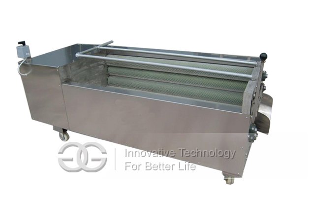 Fruit and Vegetable Washing and Peeling Machine