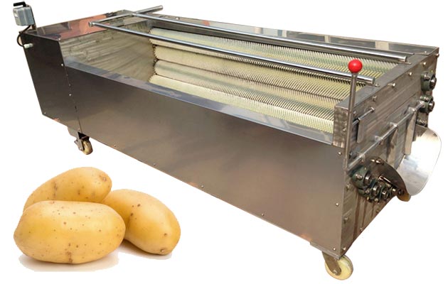 Commercial Fruit and Vegetable Washing and Peeling Machine