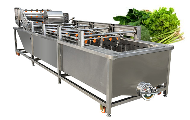 Bubble Type Leafy Vegetable Cleaning Machine