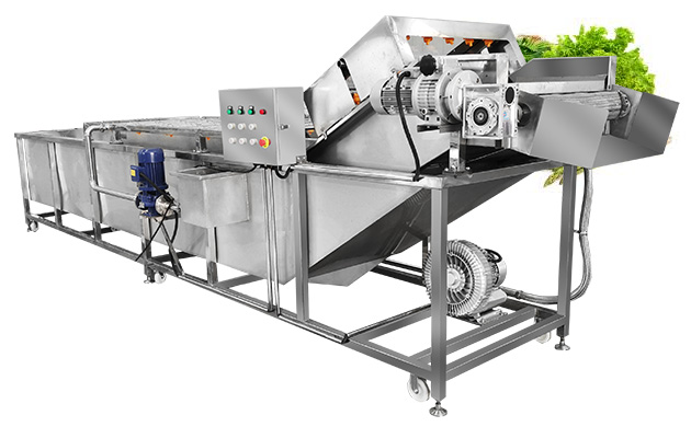 Bubble Type Leafy Vegetable Cleaning Machine