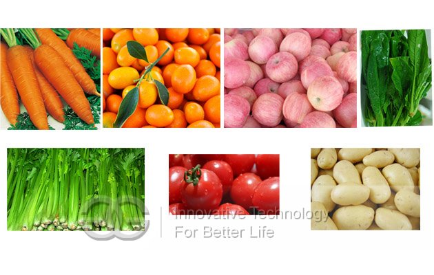Bubble Type Leafy Vegetable Cleaning Machine