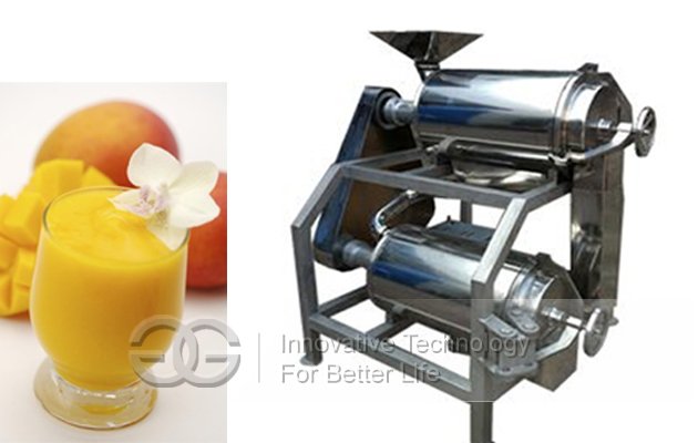 Fruit Pulping Machine
