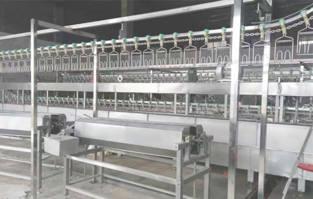 Quail Slaughter Machine for Sale