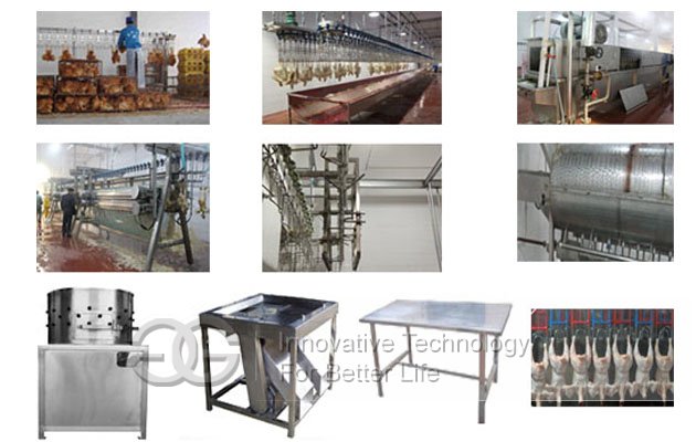 poultry slaughtering production line