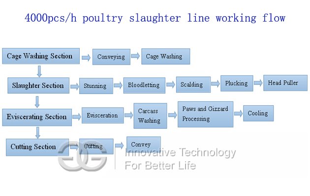 4000pcs/h Automatic Poultry Slaughtering Machine