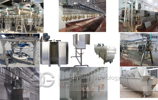 Automatic poultry slaughtering production line