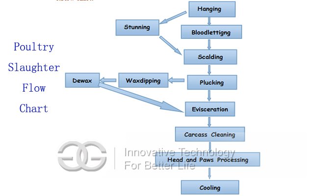 Automatic poultry slaughtering production line