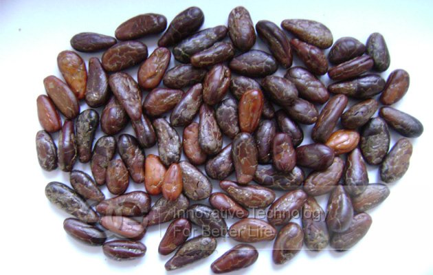 High Quality Cocoa Bean Peeling Machine For Sale