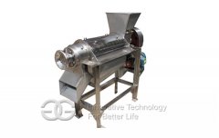 Fruit Juice Making Machine With Quality