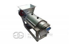 Fruit Juice Extraction Machine