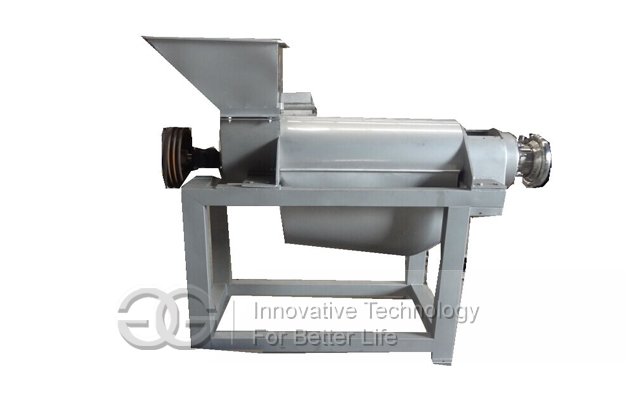 fruit juice extractor machine