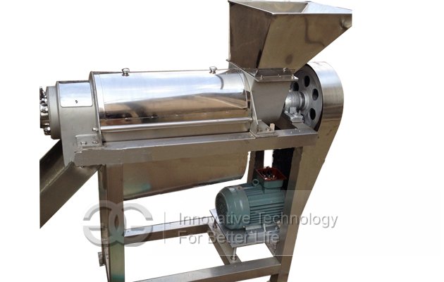 Fruit Juice Extractor Machine