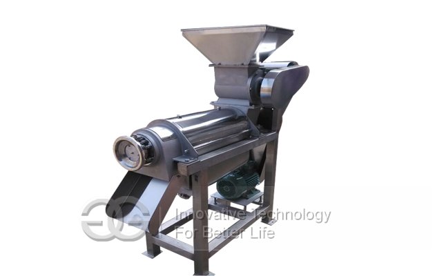 Fruit Juice Extraction Machine