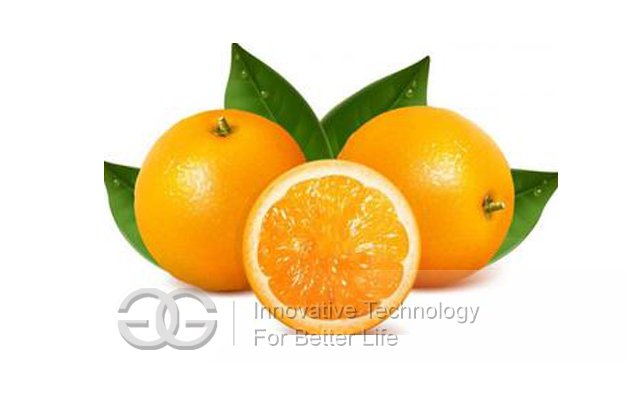 Automatic Orange/Lemon Juicer Machine