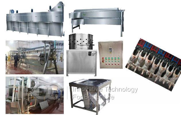 Automatic poultry slaughtering production