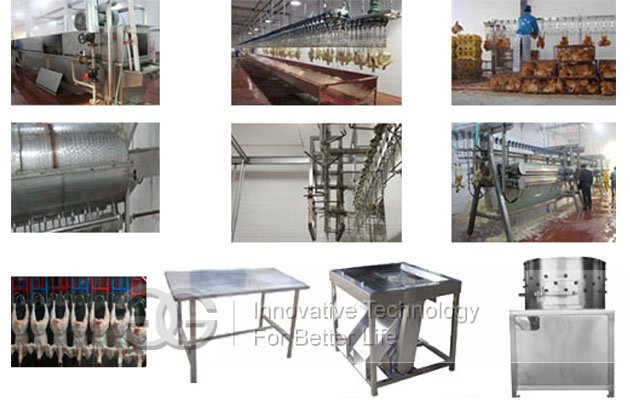 Automatic poultry slaughtering production