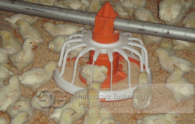 High Quality Chicken House Feeding System