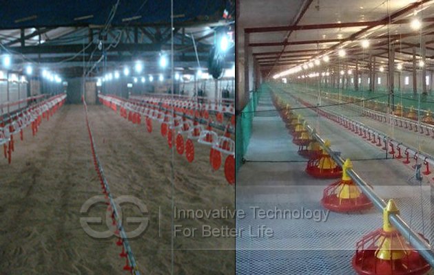 High Quality Chicken House Feeding System