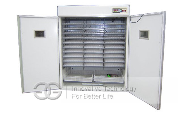 Promotion Commercial Quail Egg Incubator