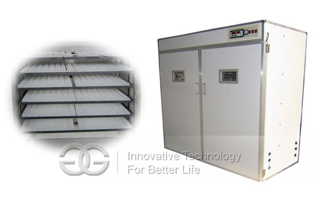 Promotion Commercial Quail Egg Incubator