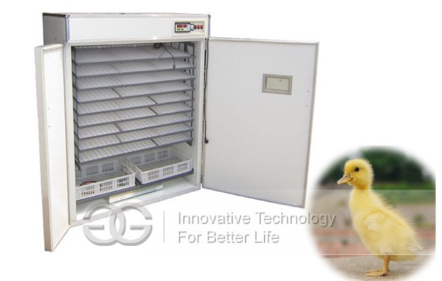 Automatic Goose Egg Incubator