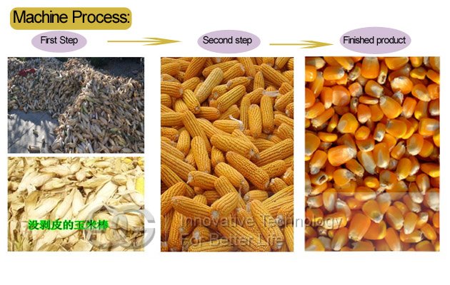 Corn Shucking and Peeling Machine China Supplier