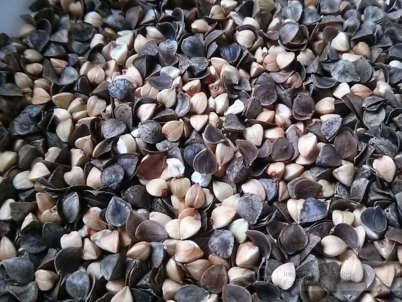 High Shelling Rate Buckwheat Sheller Machine